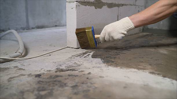 SJ Waterproofing Pros Waterproofing coverage map for Lincoln Park, MI and surrounding area
